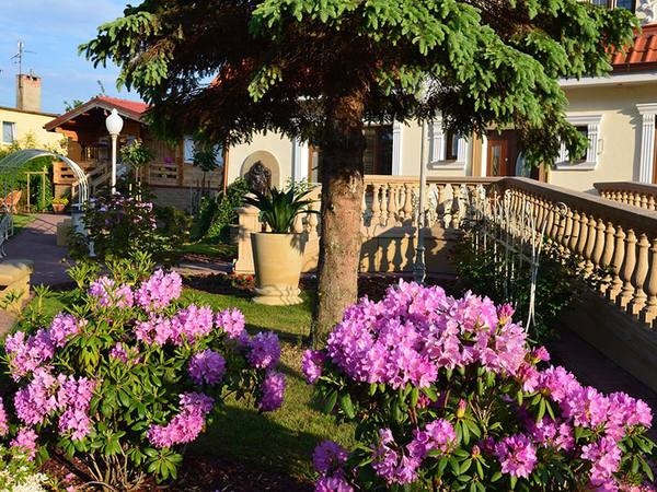 Apartament nr 8 — Róża pustyni — Willa u Babci Maliny w Sarbinowie, zdjęcie 3